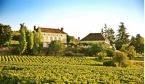 Heart of the Vineyards